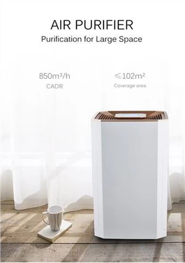 Efektiivne puhastusõhupuhasti