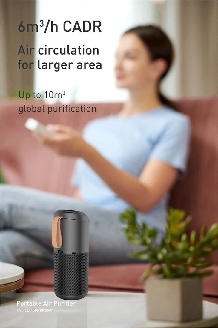 Car Air Purifier With Ion Generator And HEPA