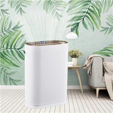 Uusim uus kodus seisev õhupuhasti