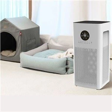 BKJ-55A puutetundlik töö siseõhu värske õhupuhasti