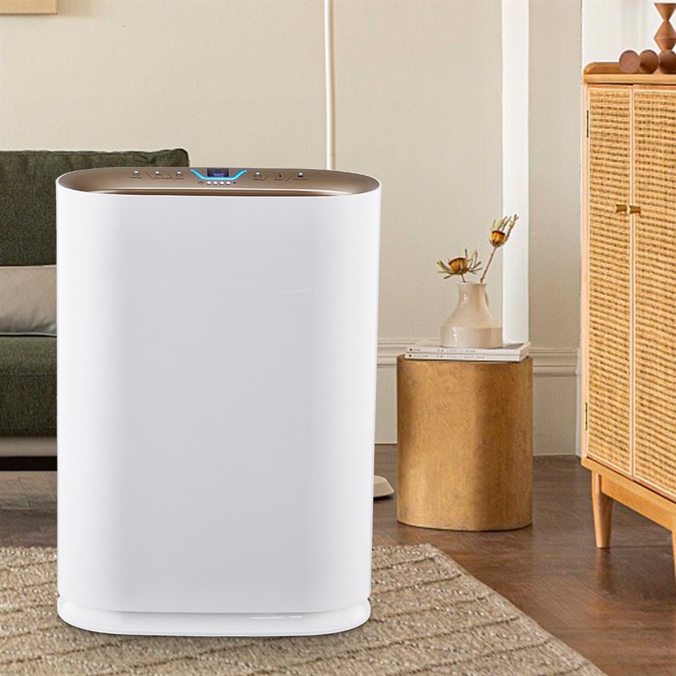 BKJ-300 Mid CADR Home Air Purifier price