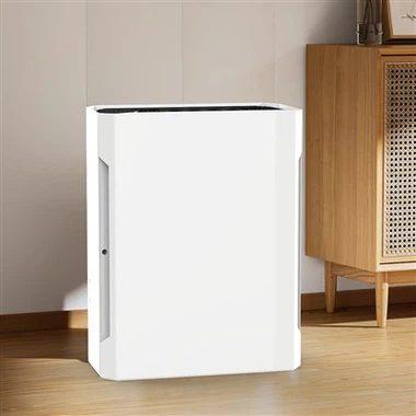 Bkj -20 b kuum müümine väikese tõhusa majapidamise õhupuhastiga