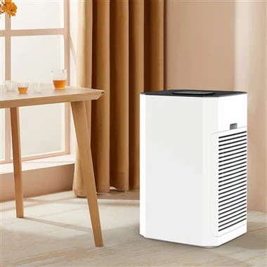 Bkj -80 b õhupuhasti suure ruumi jaoks